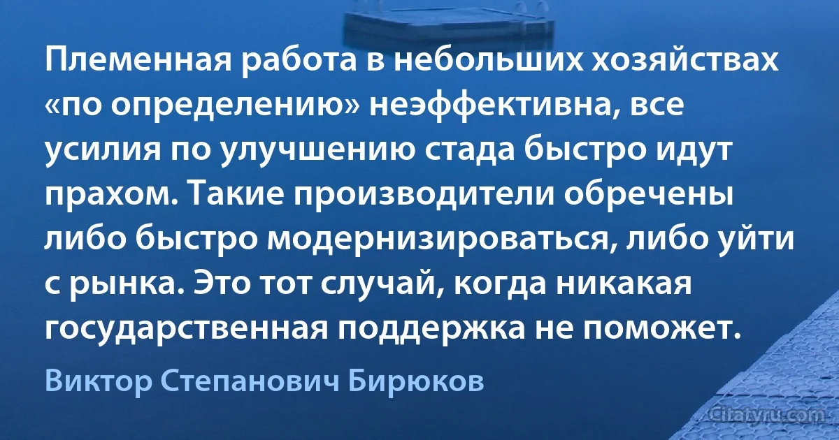 Племенная работа в небольших хозяйствах «по определению» неэффективна, все усилия по улучшению стада быстро идут прахом. Такие производители обречены либо быстро модернизироваться, либо уйти с рынка. Это тот случай, когда никакая государственная поддержка не поможет. (Виктор Степанович Бирюков)