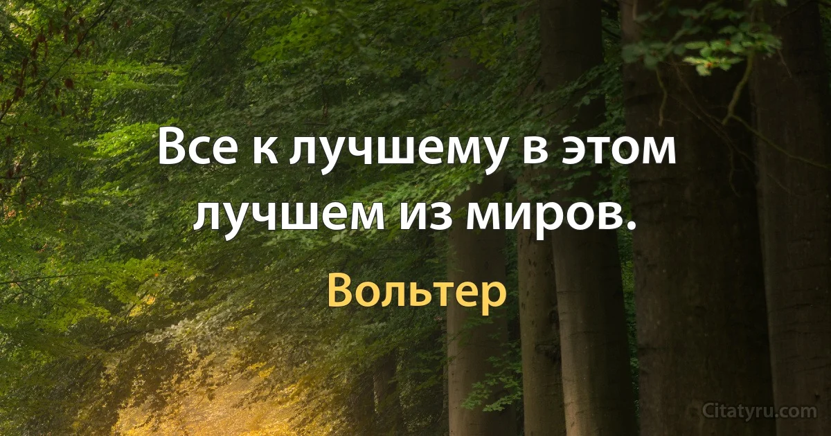 Все к лучшему в этом лучшем из миров. (Вольтер)