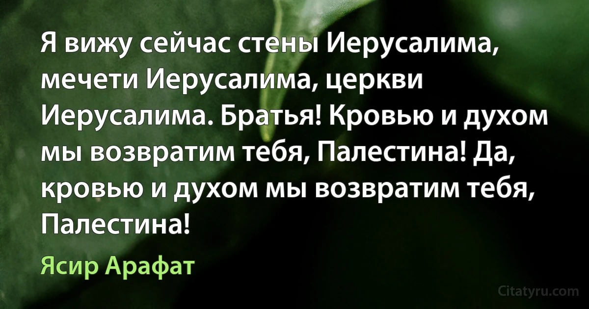 Я вижу сейчас стены Иерусалима, мечети Иерусалима, церкви Иерусалима. Братья! Кровью и духом мы возвратим тебя, Палестина! Да, кровью и духом мы возвратим тебя, Палестина! (Ясир Арафат)