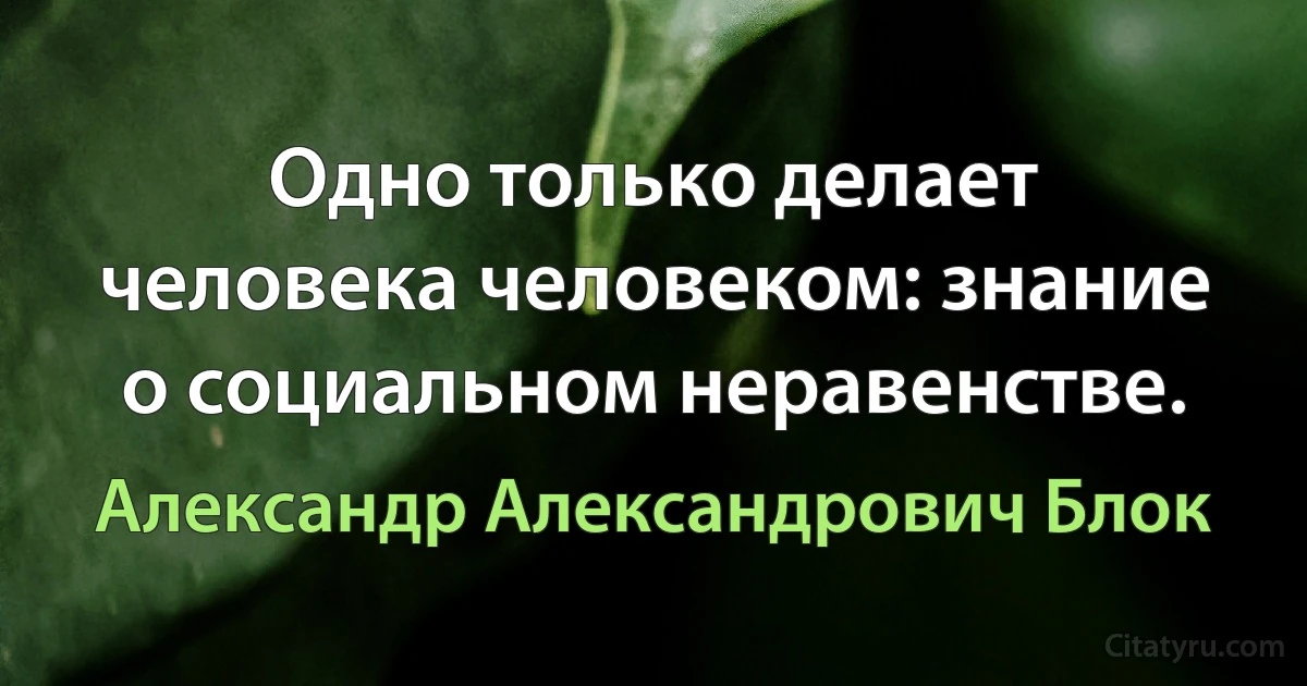 Одно только делает человека человеком: знание о социальном неравенстве. (Александр Александрович Блок)