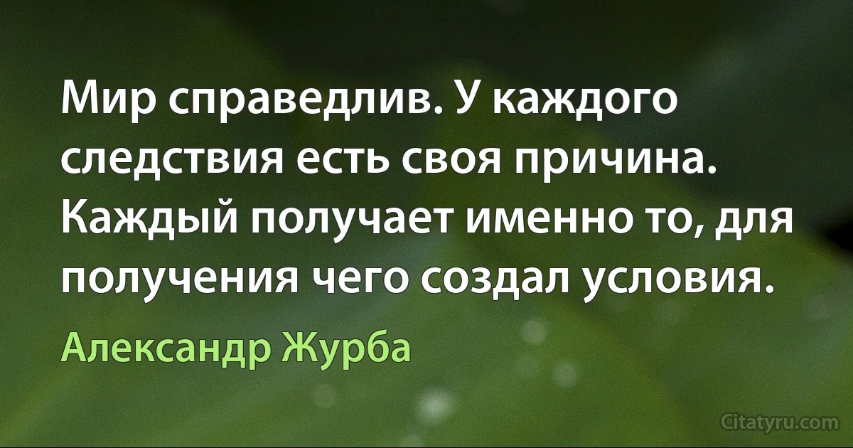 Мир справедлив. У каждого следствия есть своя причина. Каждый получает именно то, для получения чего создал условия. (Александр Журба)