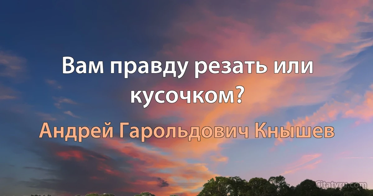 Вам правду резать или кусочком? (Андрей Гарольдович Кнышев)