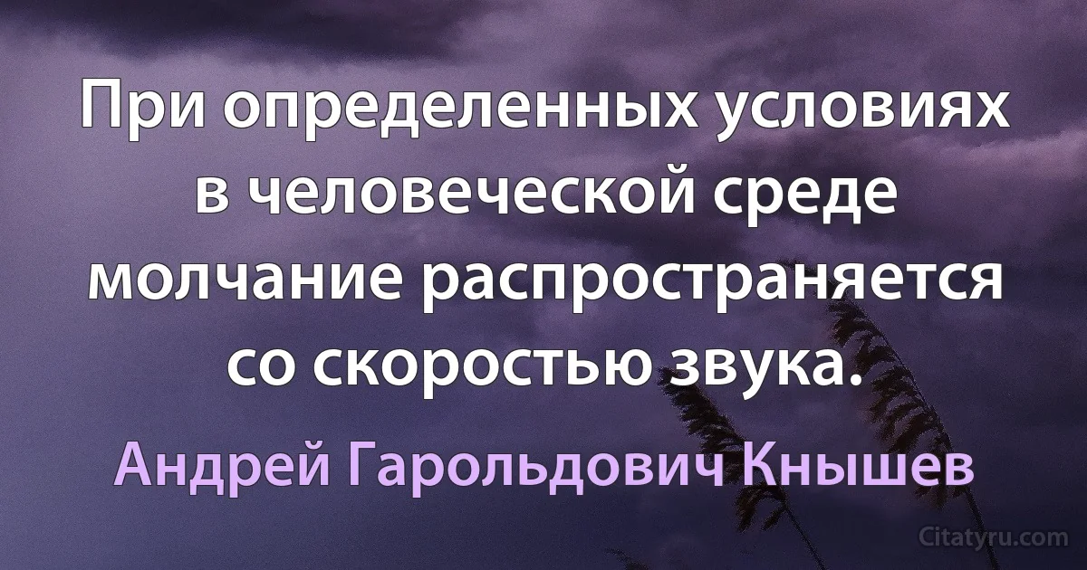 При определенных условиях в человеческой среде молчание распространяется со скоростью звука. (Андрей Гарольдович Кнышев)