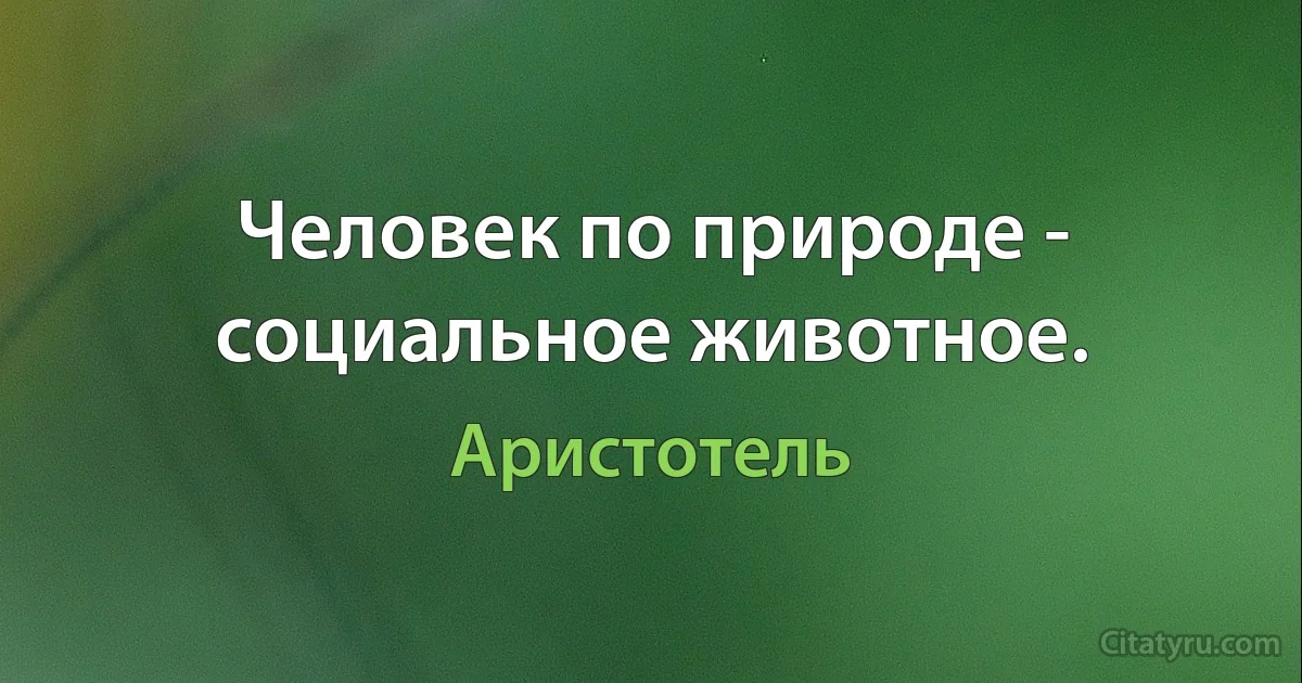 Человек по природе - социальное животное. (Аристотель)