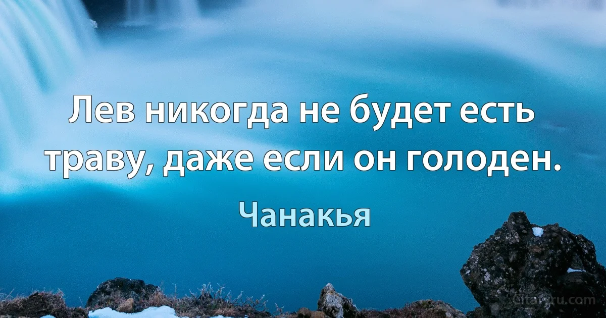 Лев никогда не будет есть траву, даже если он голоден. (Чанакья)