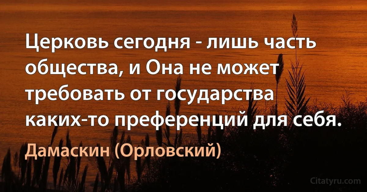 Церковь сегодня - лишь часть общества, и Она не может требовать от государства каких-то преференций для себя. (Дамаскин (Орловский))