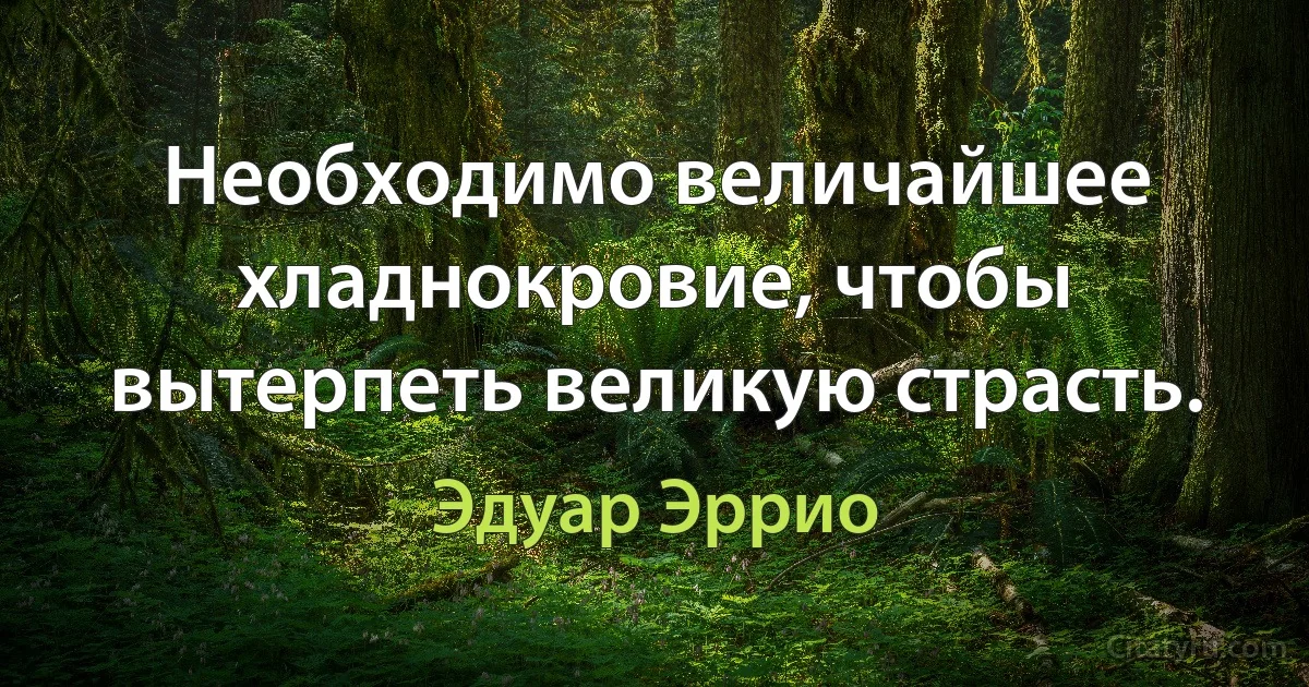 Необходимо величайшее хладнокровие, чтобы вытерпеть великую страсть. (Эдуар Эррио)