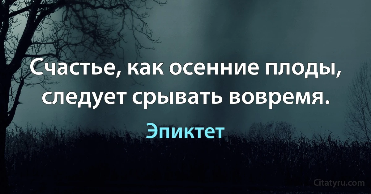 Счастье, как осенние плоды, следует срывать вовремя. (Эпиктет)