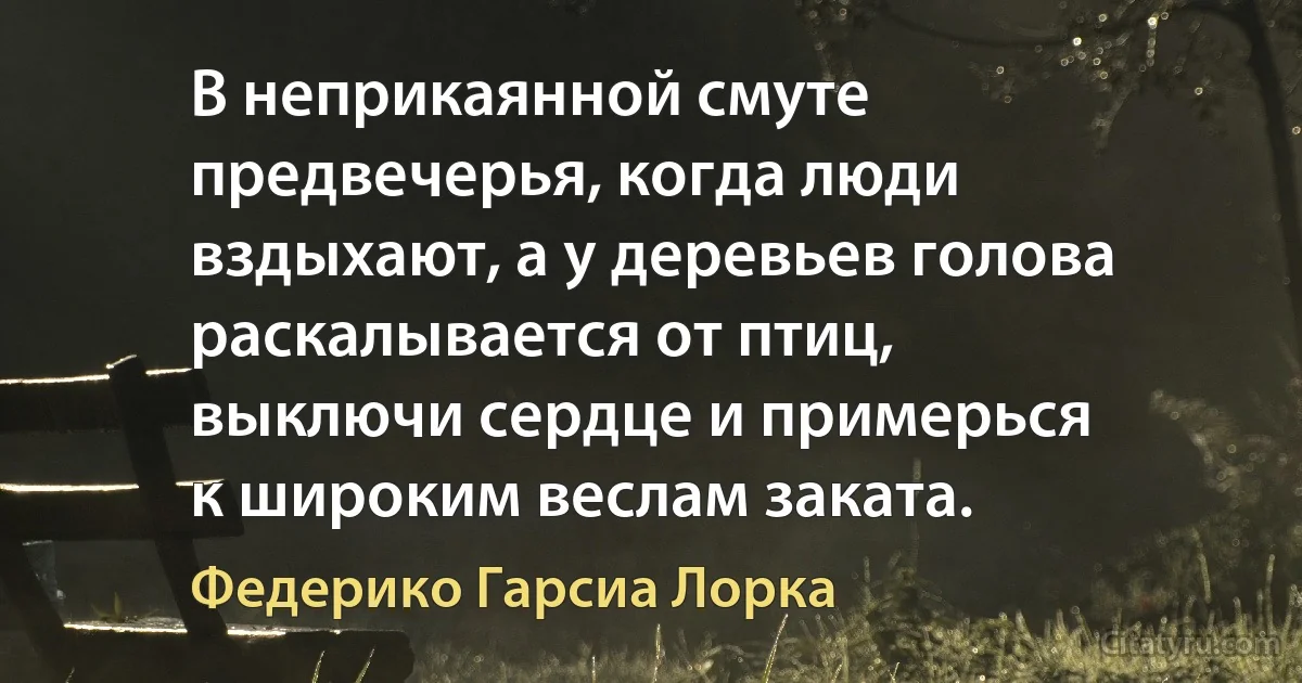 В неприкаянной смуте
предвечерья, когда люди
вздыхают, а у деревьев голова
раскалывается от птиц,
выключи сердце и примерься
к широким веслам заката. (Федерико Гарсиа Лорка)