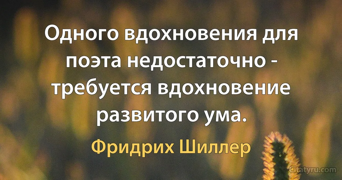 Одного вдохновения для поэта недостаточно - требуется вдохновение развитого ума. (Фридрих Шиллер)