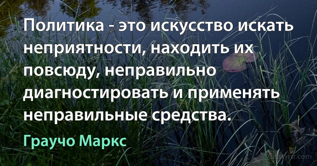 Политика - это искусство искать неприятности, находить их повсюду, неправильно диагностировать и применять неправильные средства. (Граучо Маркс)