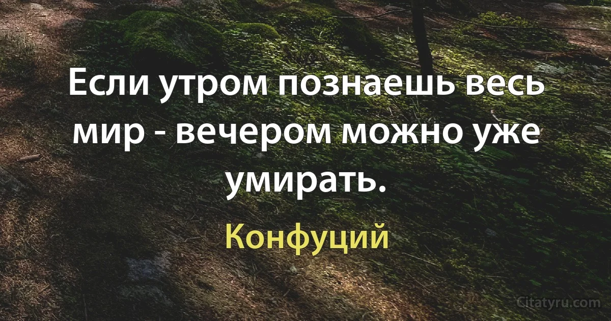 Если утром познаешь весь мир - вечером можно уже умирать. (Конфуций)