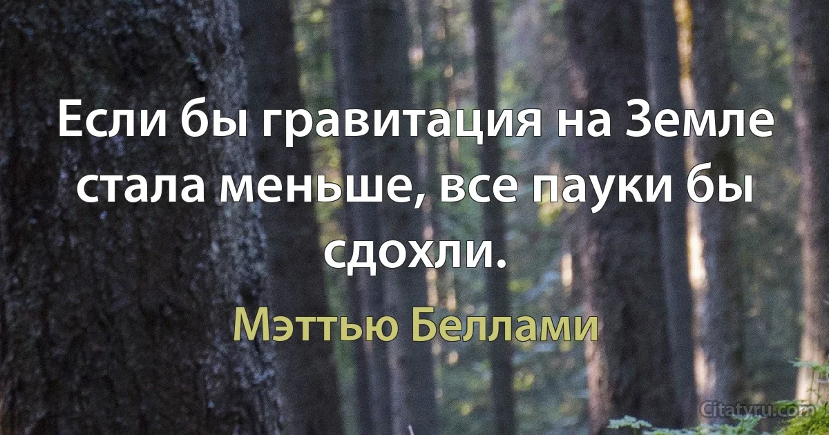 Если бы гравитация на Земле стала меньше, все пауки бы сдохли. (Мэттью Беллами)