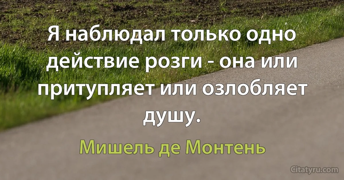 Я наблюдал только одно действие розги - она или притупляет или озлобляет душу. (Мишель де Монтень)