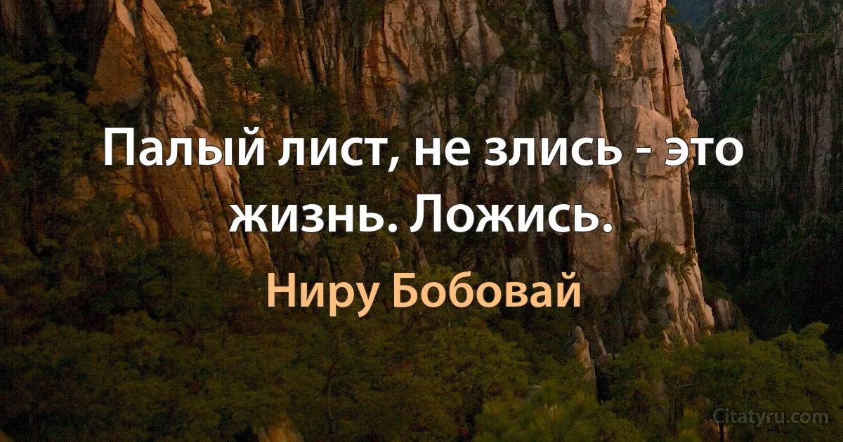 Палый лист, не злись - это жизнь. Ложись. (Ниру Бобовай)