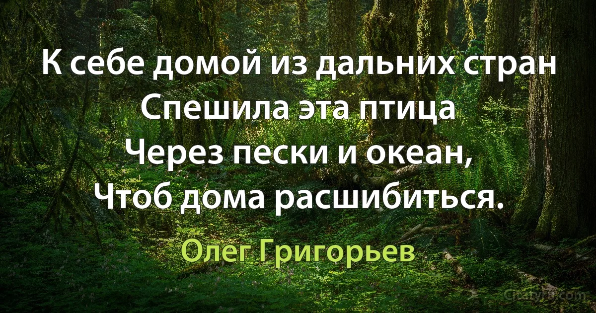 К себе домой из дальних стран
Спешила эта птица
Через пески и океан,
Чтоб дома расшибиться. (Олег Григорьев)