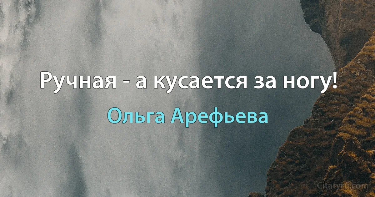 Ручная - а кусается за ногу! (Ольга Арефьева)