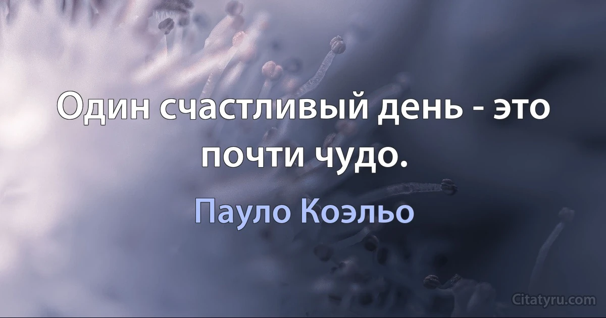 Один счастливый день - это почти чудо. (Пауло Коэльо)