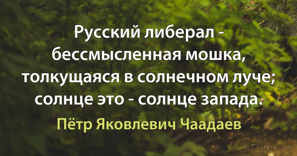 Русский либерал - бессмысленная мошка, толкущаяся в солнечном луче; солнце это - солнце запада. (Пётр Яковлевич Чаадаев)