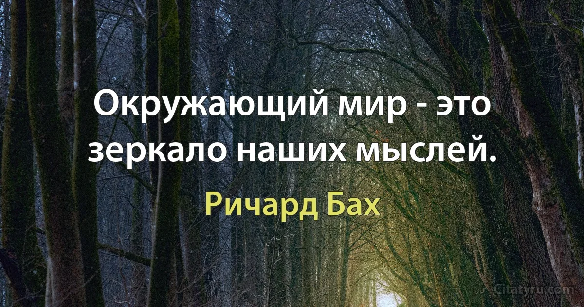 Окружающий мир - это зеркало наших мыслей. (Ричард Бах)