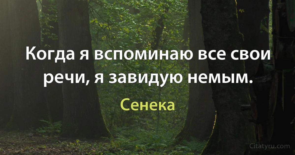 Когда я вспоминаю все свои речи, я завидую немым. (Сенека)