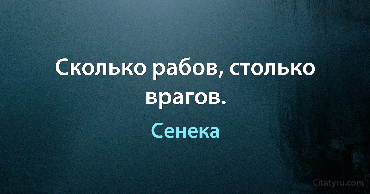 Сколько рабов, столько врагов. (Сенека)