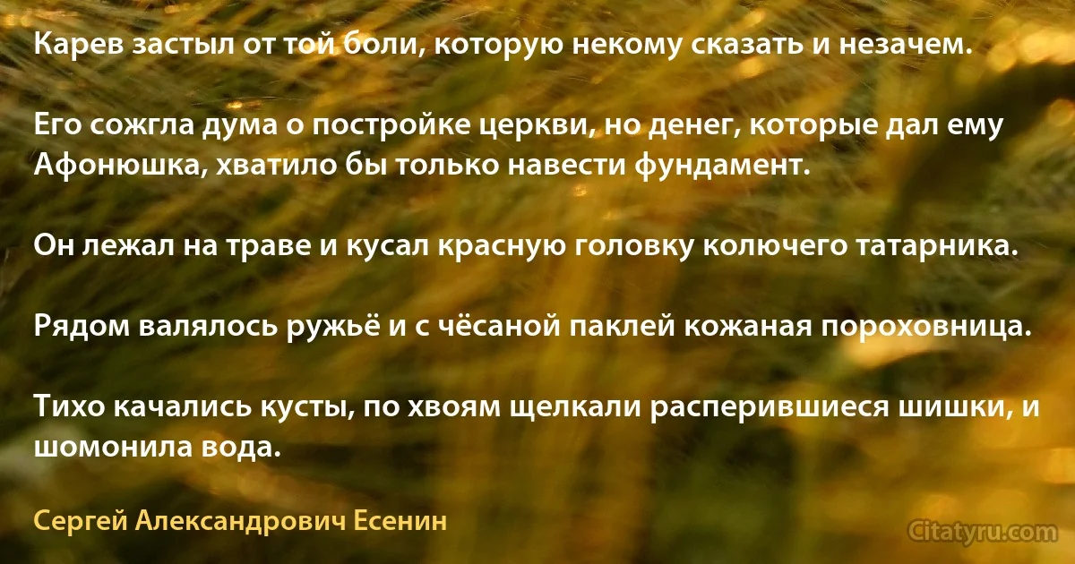 Карев застыл от той боли, которую некому сказать и незачем.

Его сожгла дума о постройке церкви, но денег, которые дал ему Афонюшка, хватило бы только навести фундамент.

Он лежал на траве и кусал красную головку колючего татарника.

Рядом валялось ружьё и с чёсаной паклей кожаная пороховница.

Тихо качались кусты, по хвоям щелкали расперившиеся шишки, и шомонила вода. (Сергей Александрович Есенин)