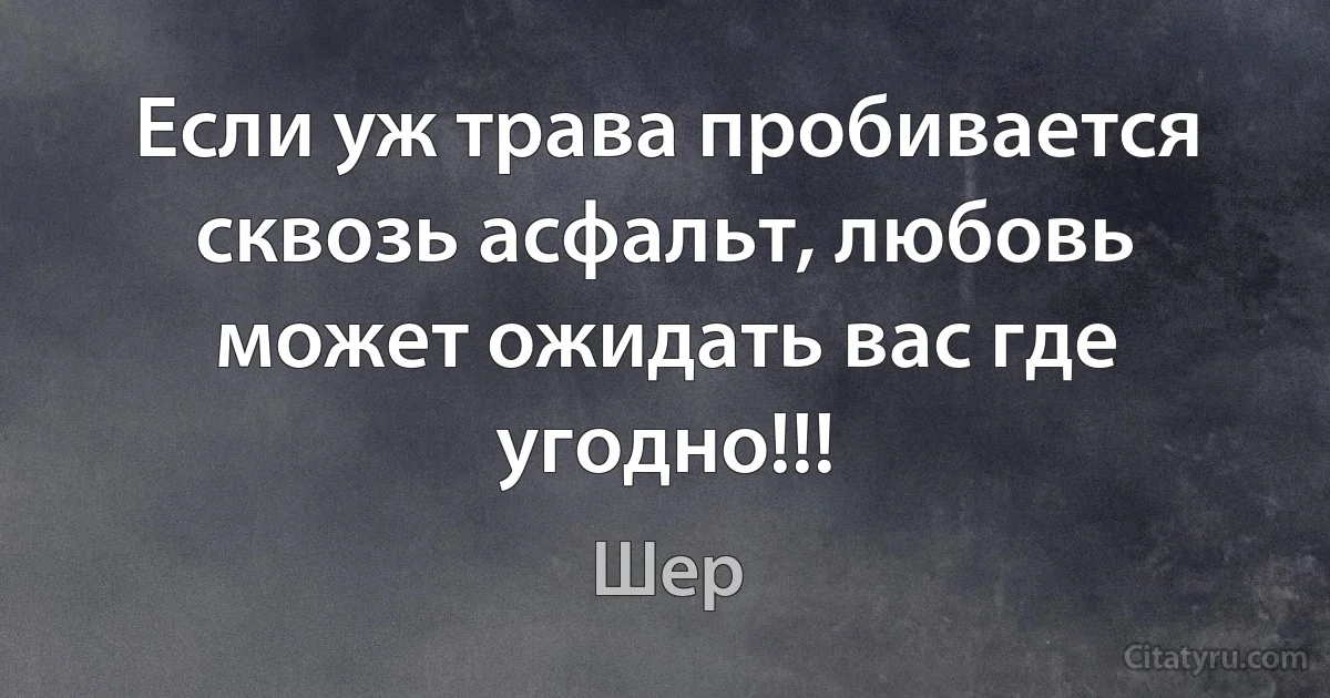 Если уж трава пробивается сквозь асфальт, любовь может ожидать вас где угодно!!! (Шер)