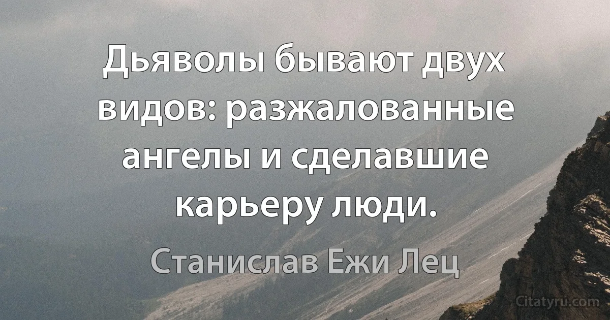 Дьяволы бывают двух видов: разжалованные ангелы и сделавшие карьеру люди. (Станислав Ежи Лец)