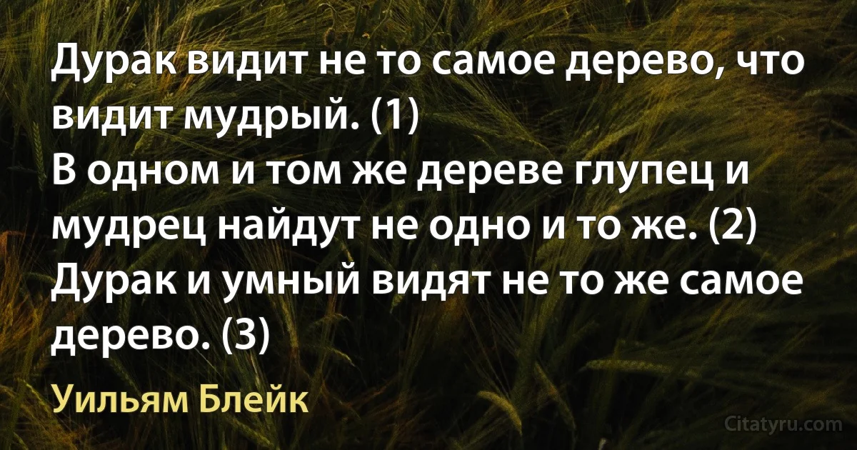 Дурак видит не то самое дерево, что видит мудрый. (1)
В одном и том же дереве глупец и мудрец найдут не одно и то же. (2)
Дурак и умный видят не то же самое дерево. (3) (Уильям Блейк)