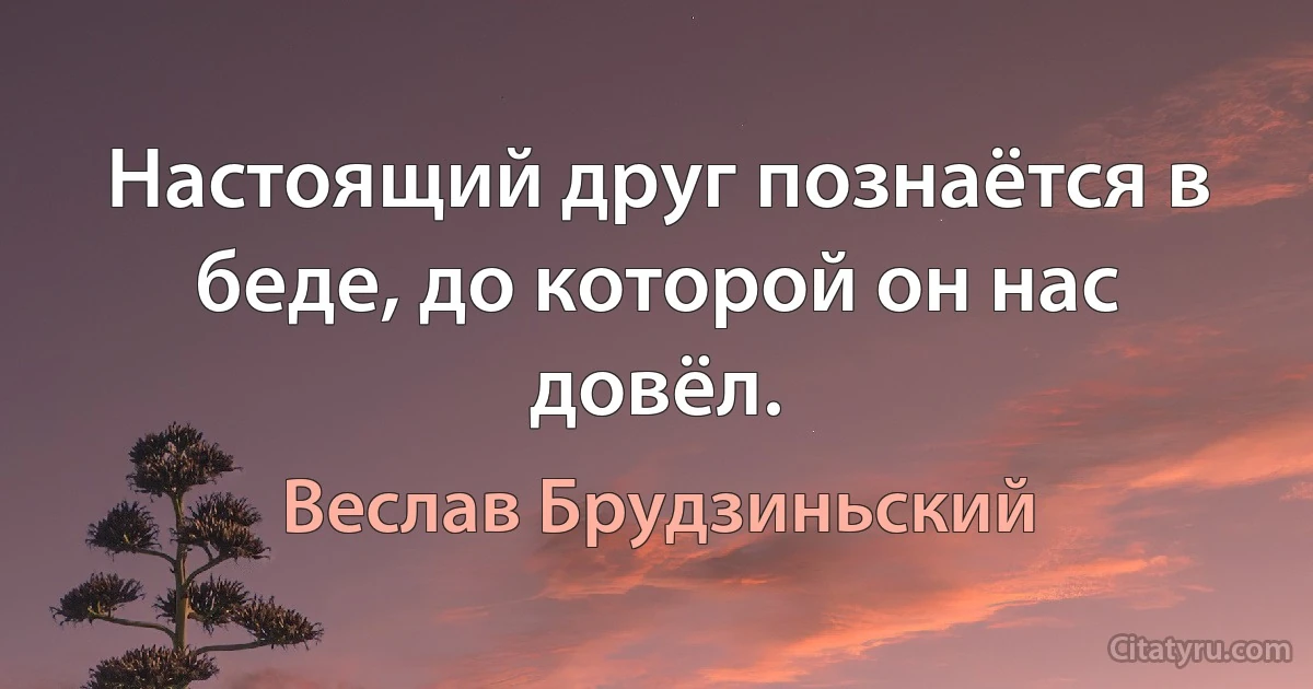 Настоящий друг познаётся в беде, до которой он нас довёл. (Веслав Брудзиньский)