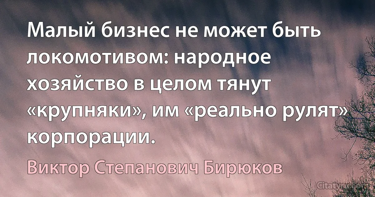 Малый бизнес не может быть локомотивом: народное хозяйство в целом тянут «крупняки», им «реально рулят» корпорации. (Виктор Степанович Бирюков)