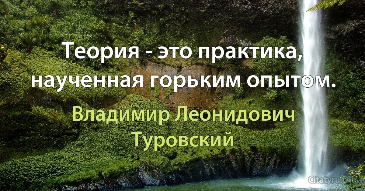 Теория - это практика, наученная горьким опытом. (Владимир Леонидович Туровский)