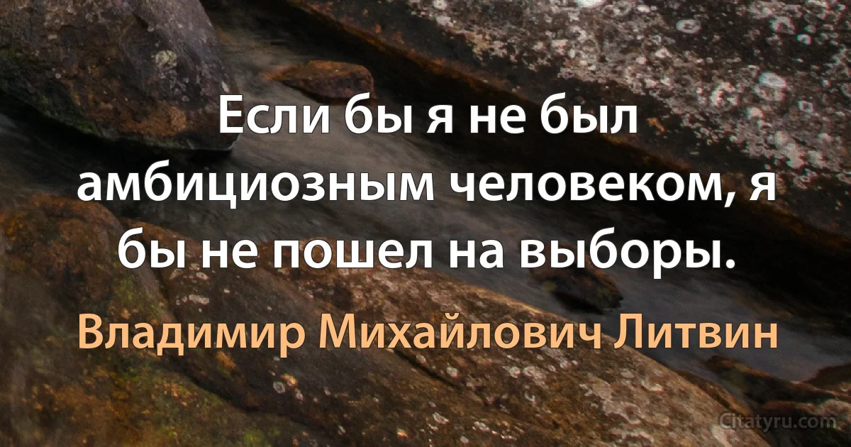 Если бы я не был амбициозным человеком, я бы не пошел на выборы. (Владимир Михайлович Литвин)