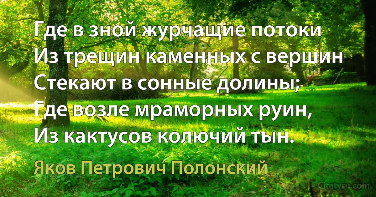 Где в зной журчащие потоки
Из трещин каменных с вершин
Стекают в сонные долины;
Где возле мраморных руин,
Из кактусов колючий тын. (Яков Петрович Полонский)