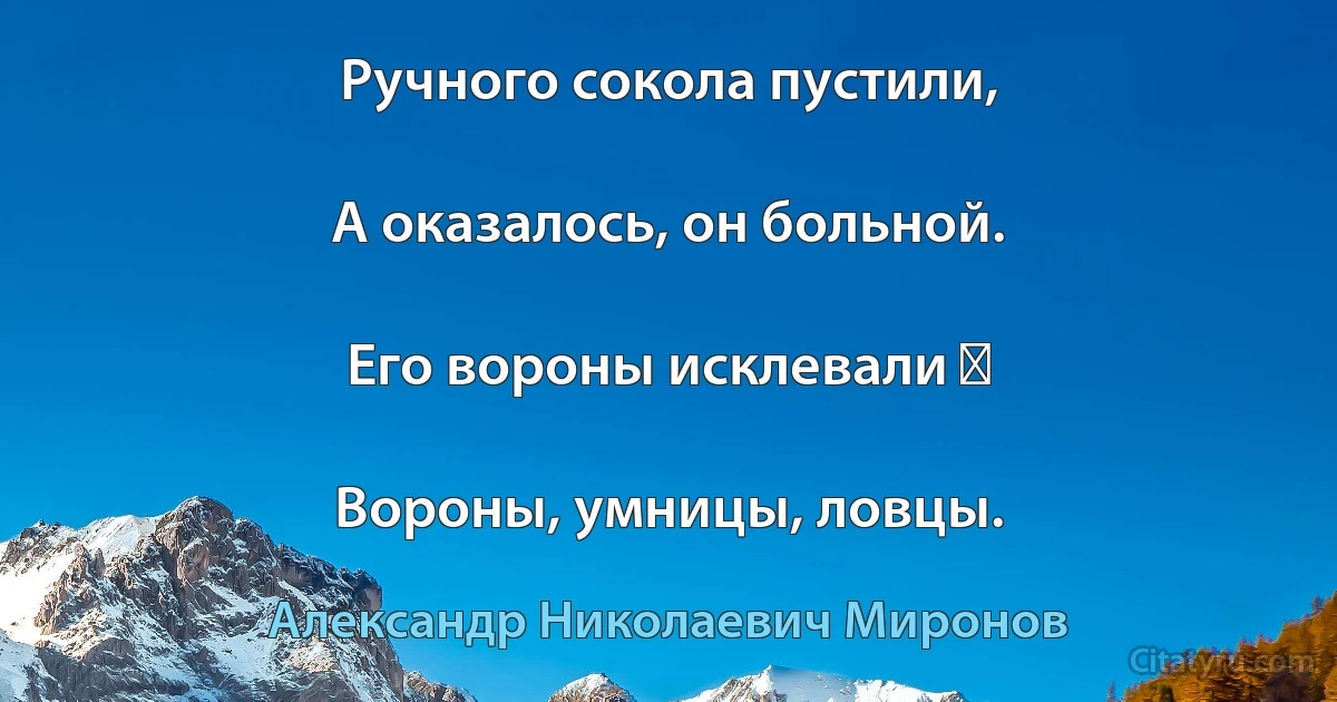 Ручного сокола пустили,

А оказалось, он больной.

Его вороны исклевали ―

Вороны, умницы, ловцы. (Александр Николаевич Миронов)