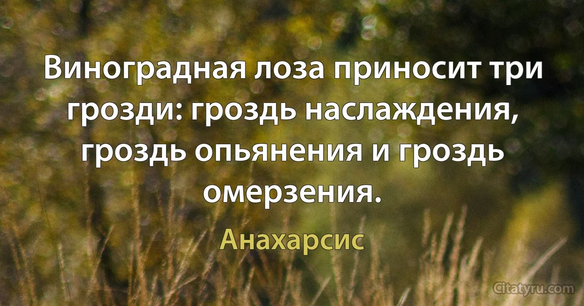 Виноградная лоза приносит три грозди: гроздь наслаждения, гроздь опьянения и гроздь омерзения. (Анахарсис)