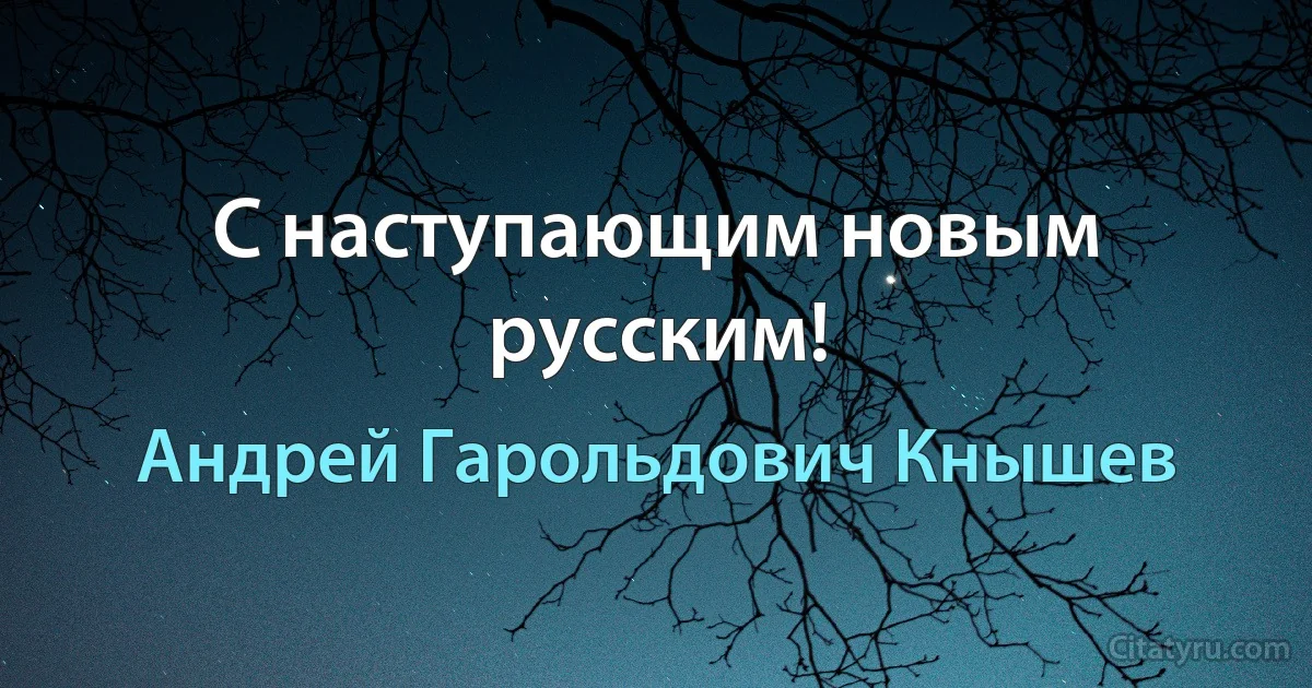 С наступающим новым русским! (Андрей Гарольдович Кнышев)