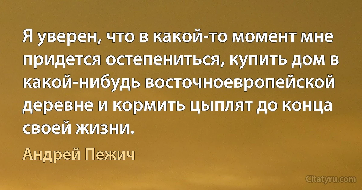 Я уверен, что в какой-то момент мне придется остепениться, купить дом в какой-нибудь восточноевропейской деревне и кормить цыплят до конца своей жизни. (Андрей Пежич)