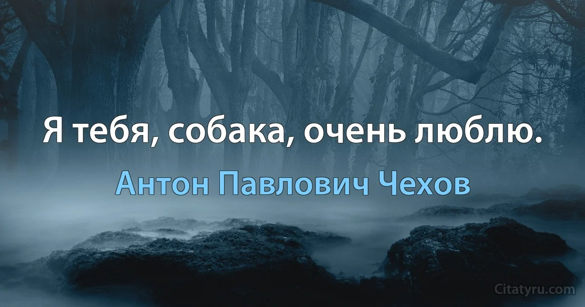 Я тебя, собака, очень люблю. (Антон Павлович Чехов)