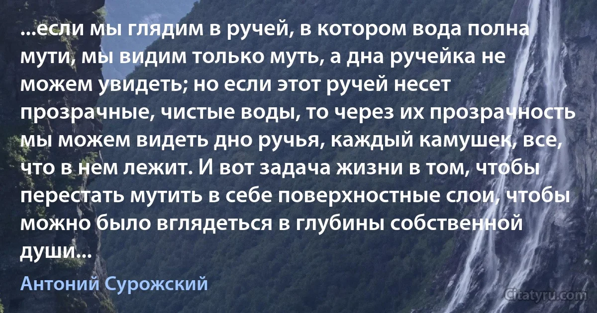 ...если мы глядим в ручей, в котором вода полна мути, мы видим только муть, а дна ручейка не можем увидеть; но если этот ручей несет прозрачные, чистые воды, то через их прозрачность мы можем видеть дно ручья, каждый камушек, все, что в нем лежит. И вот задача жизни в том, чтобы перестать мутить в себе поверхностные слои, чтобы можно было вглядеться в глубины собственной души... (Антоний Сурожский)