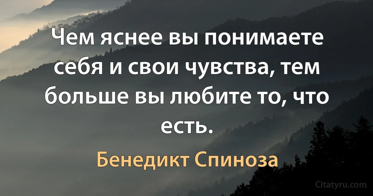 Чем яснее вы понимаете себя и свои чувства, тем больше вы любите то, что есть. (Бенедикт Спиноза)