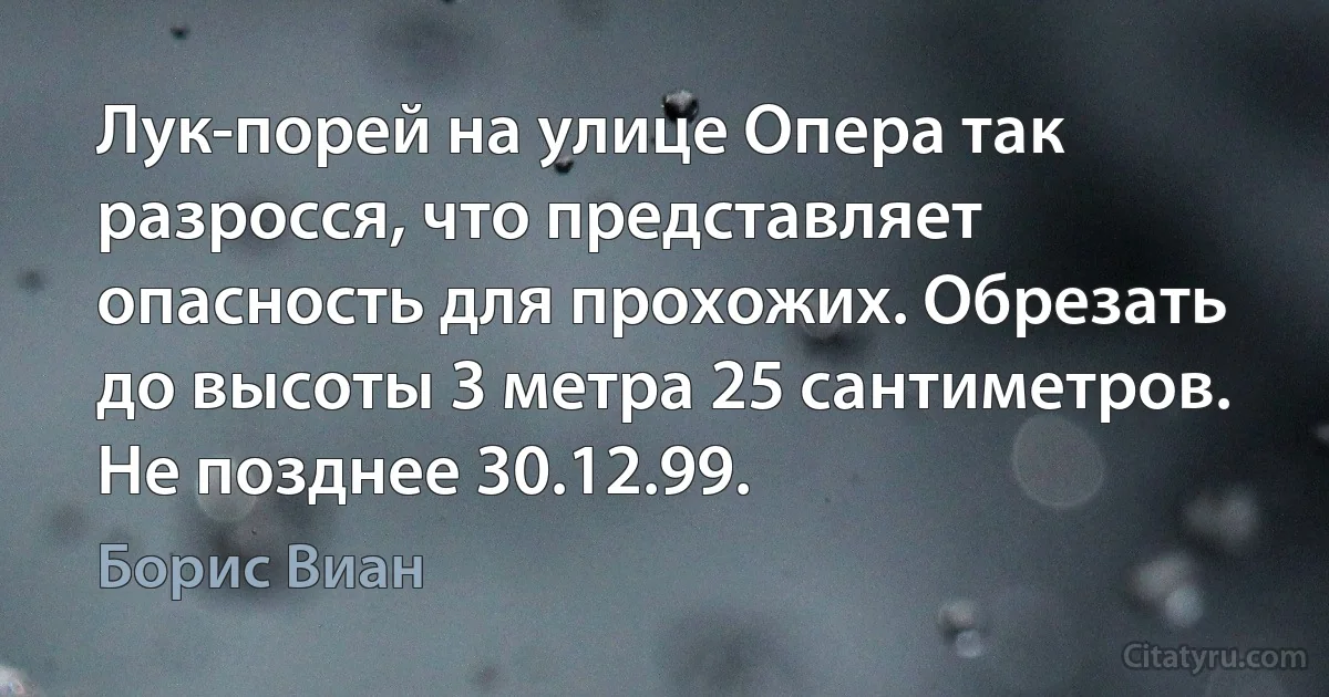 Лук-порей на улице Опера так разросся, что представляет опасность для прохожих. Обрезать до высоты 3 метра 25 сантиметров. Не позднее 30.12.99. (Борис Виан)