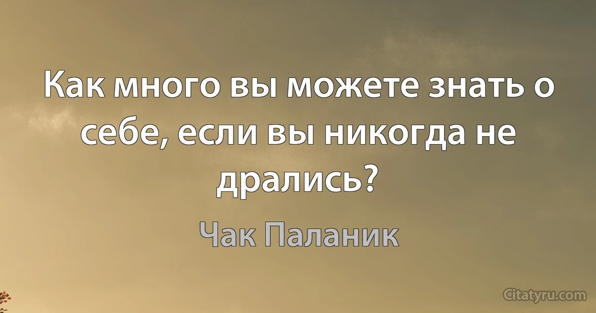 Как много вы можете знать о себе, если вы никогда не дрались? (Чак Паланик)