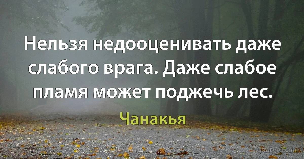 Нельзя недооценивать даже слабого врага. Даже слабое пламя может поджечь лес. (Чанакья)