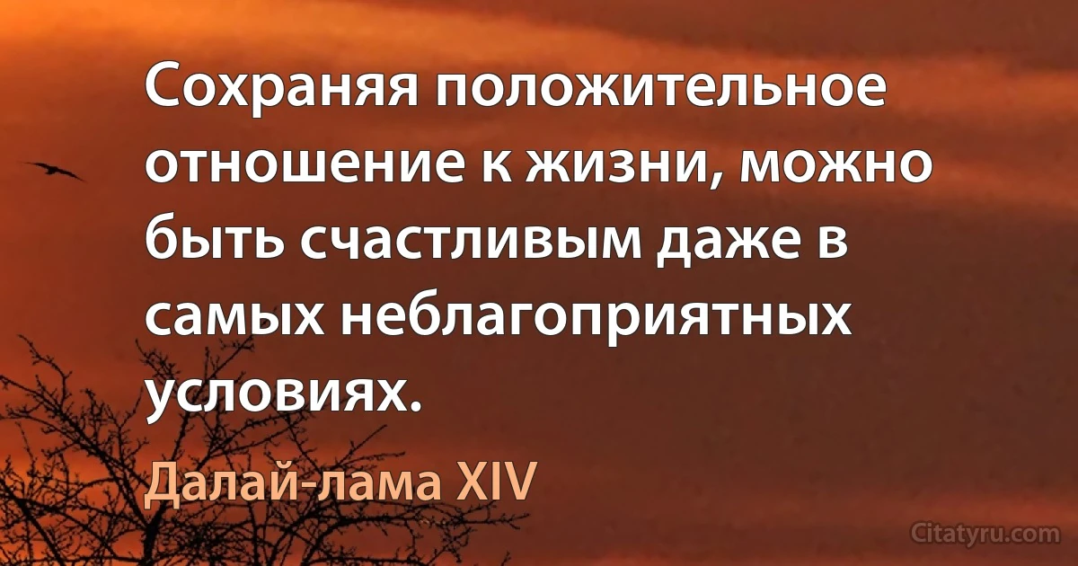 Сохраняя положительное отношение к жизни, можно быть счастливым даже в самых неблагоприятных условиях. (Далай-лама XIV)