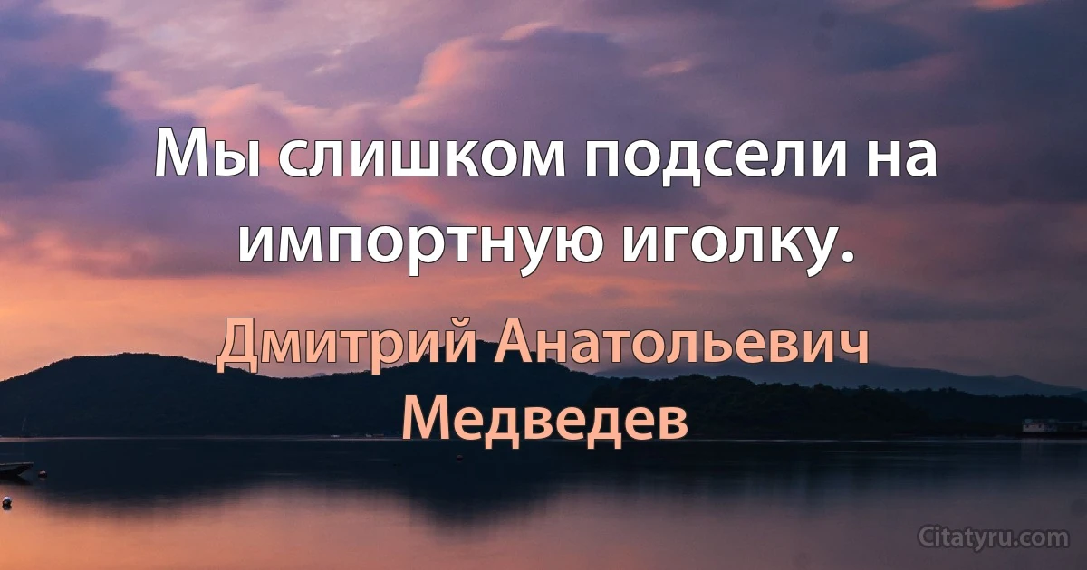 Мы слишком подсели на импортную иголку. (Дмитрий Анатольевич Медведев)