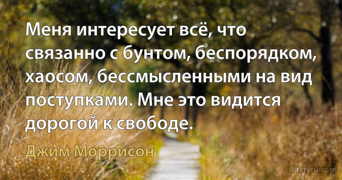 Меня интересует всё, что связанно с бунтом, беспорядком, хаосом, бессмысленными на вид поступками. Мне это видится дорогой к свободе. (Джим Моррисон)