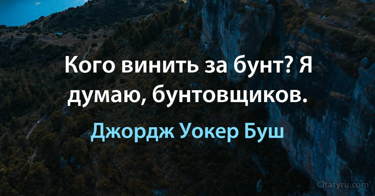 Кого винить за бунт? Я думаю, бунтовщиков. (Джордж Уокер Буш)