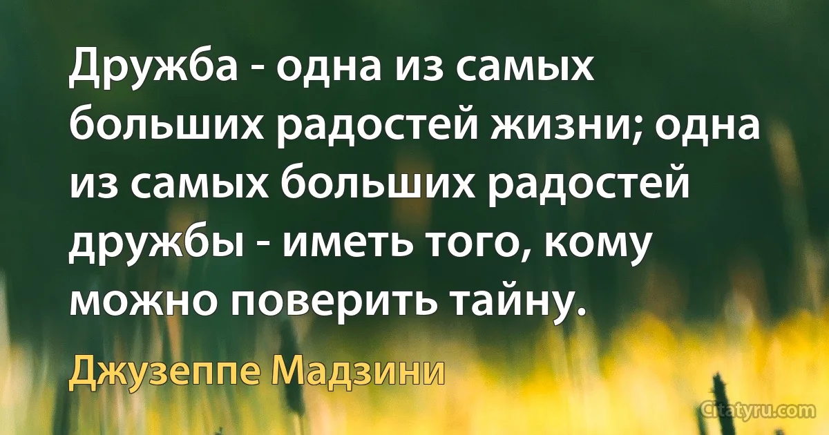 Дружба - одна из самых больших радостей жизни; одна из самых больших радостей дружбы - иметь того, кому можно поверить тайну. (Джузеппе Мадзини)